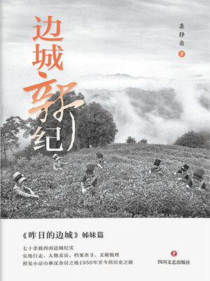 cover image of 边城新纪